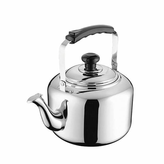 Чайник P.L. Proff Cuisine 6 л, кухонный нерж., арт. 99002121